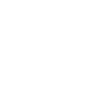 Velmora Logo