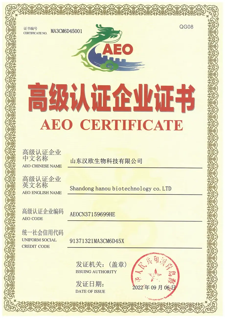 aeo-1.webp