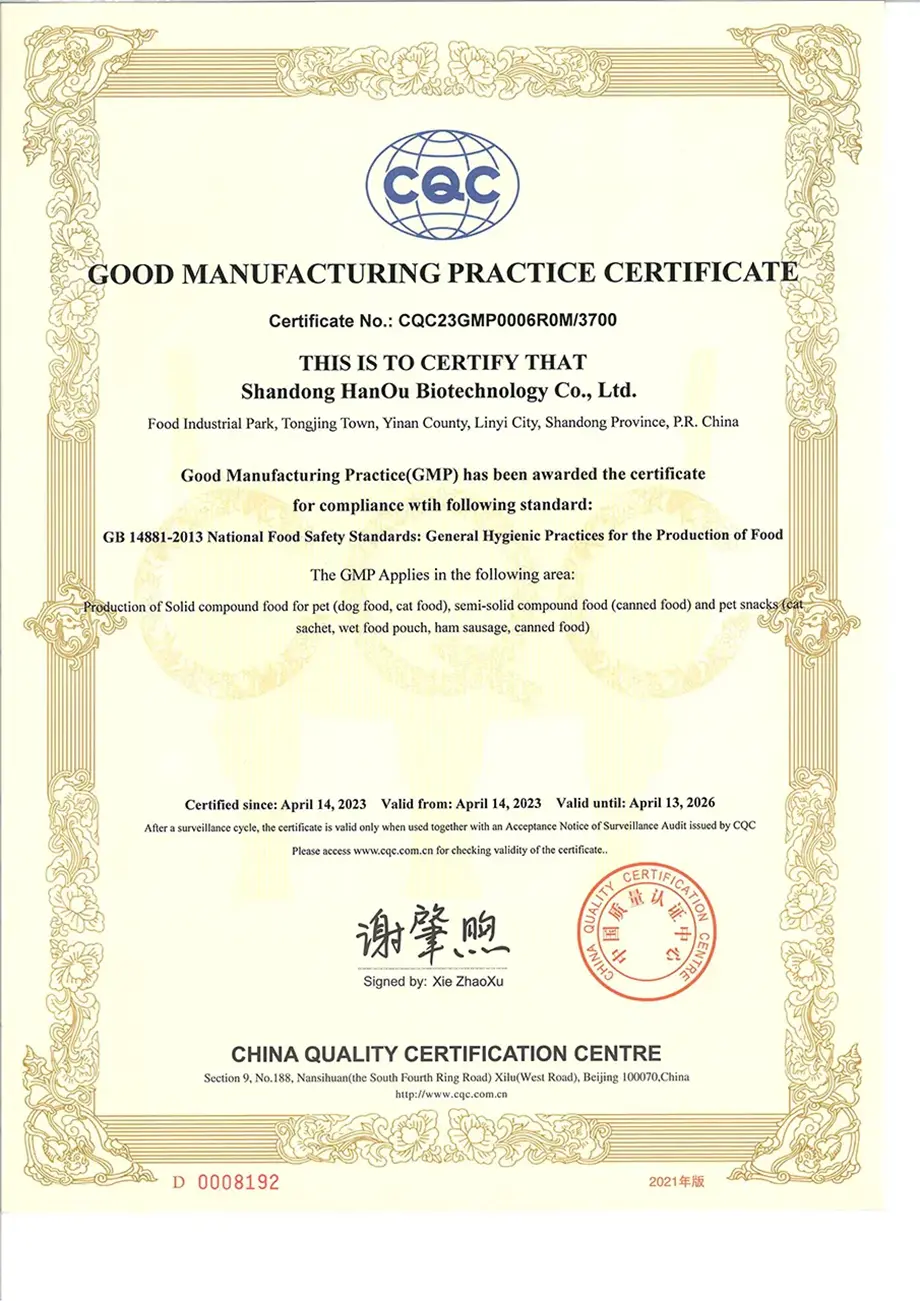 gmp-1.webp