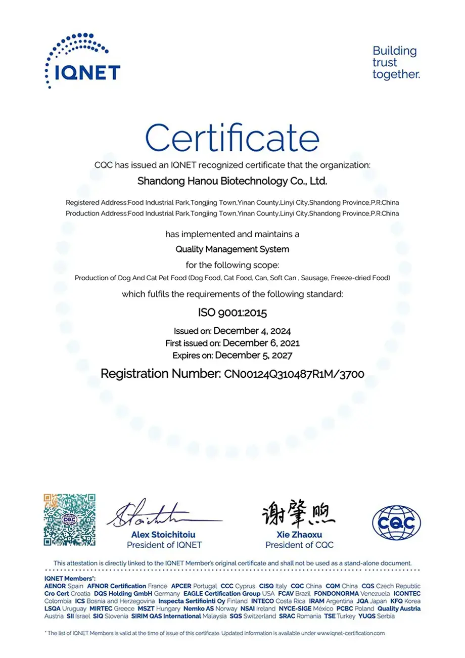 iso-9001-2015-1.webp