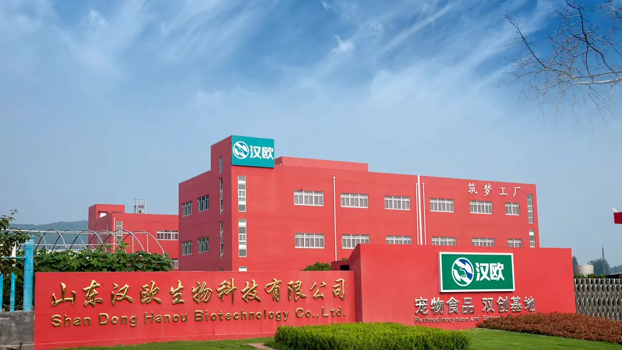 Main Entrance